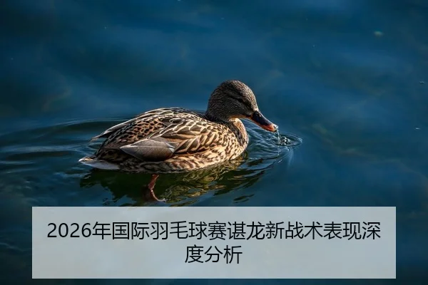 2026年国际羽毛球赛谌龙新战术表现深度分析