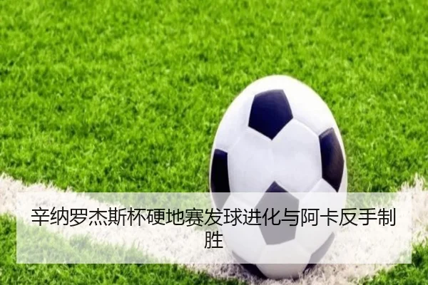 xin-na-luo-jie-si-bei-ying-di-sai-fa-qiu-jin-hua-yu-a-ka-fan-shou-zhi-sheng-3-403.jpg