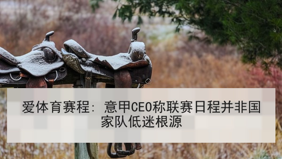 爱体育赛程: 意甲CEO称联赛日程并非国家队低迷根源