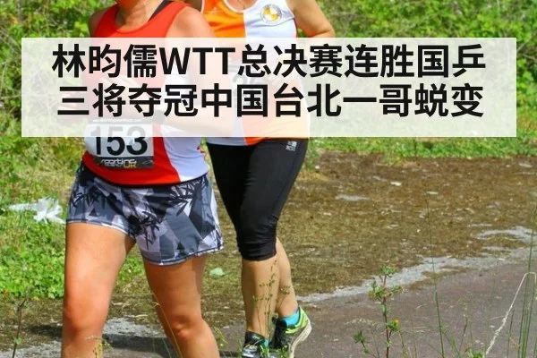 林昀儒WTT总决赛连胜国乒三将夺冠中国台北一哥蜕变